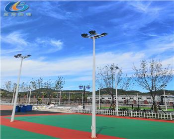 延安學校路燈照明項目