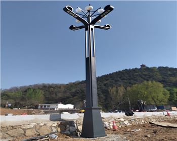 甘肅山西省運城市高桿景觀道路路燈項目